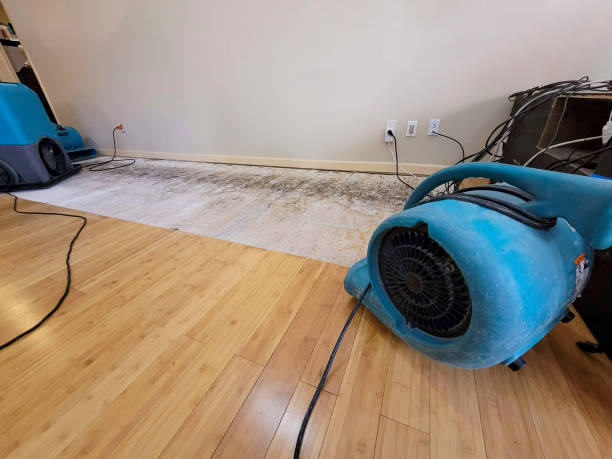 Professional Water Damage Repair technician working in Paso Robles, CA